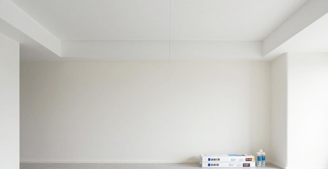 吊顶中间的隙用什么建材_吊顶中间空的部分要铺板么_建材中间吊顶隙用什么胶粘